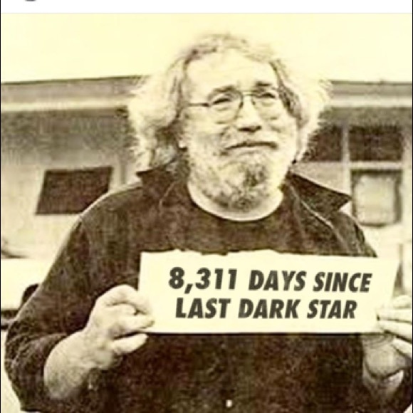 Meet your Posher, Sierra - Picture 5 of 8